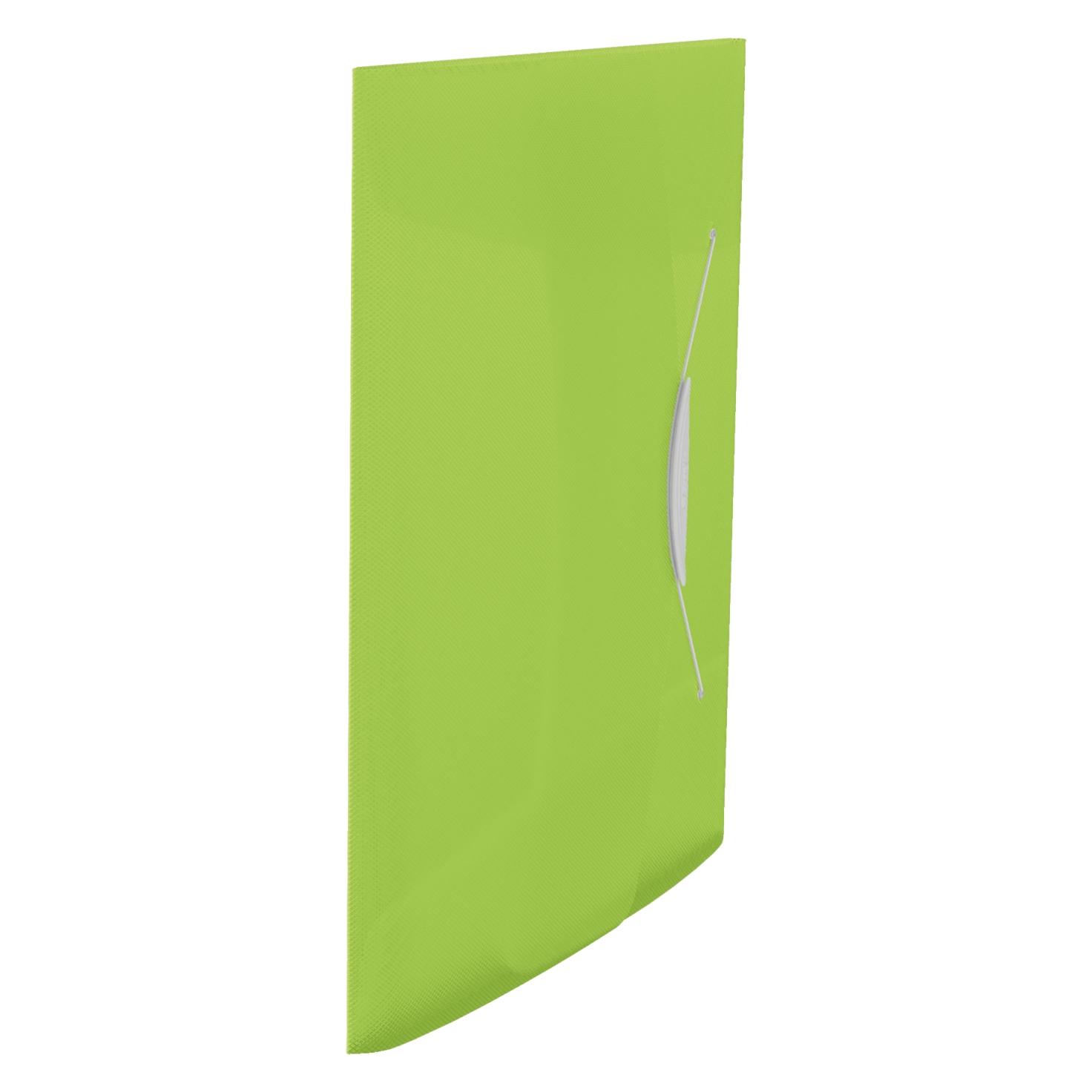 Esselte Dokumentenmappe VIVIDA (A4) (624041)