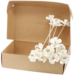 Natural Diffuser Flowers – Lily on Reed