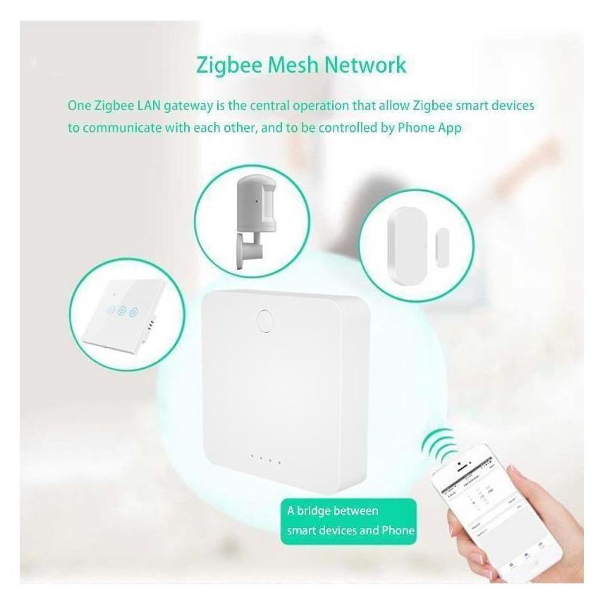 Netplus NPLZJMWZG2 - Zigbee LAN Hub (NPLZJMWZG2)