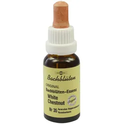 Bachblüten Murnauer White Chestnut Tropfen 20 ML