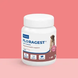 FLORAGEST L, Ergänzungsfuttermittel für Hunde (>35 kg), Packung mit 30 Tabletten