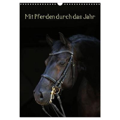 Mit Pferden durch das Jahr (Wandkalender 2027 DIN A3 hoch), CALVENDO Monatskalender