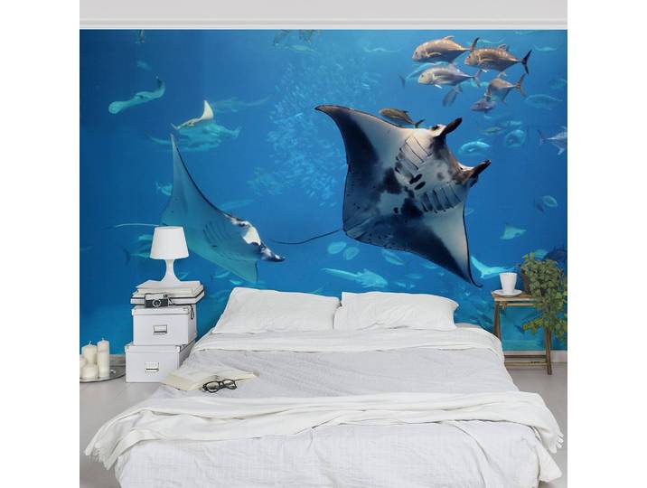 Vliestapete Manta Ray 432 x 290cm 432 x 290 cm