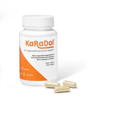 Karadol magensaftresistente Kapseln 60 St magensaftresistent