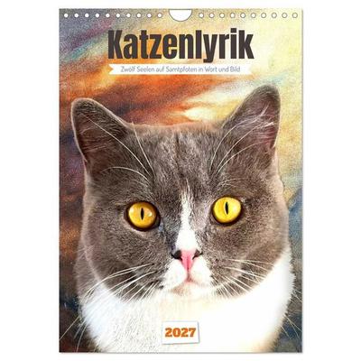 Katzenlyrik - Zwölf Seelen auf Samtpfoten in Wort und Bild (Wandkalender 2027 DIN A4 hoch), CALVENDO Monatskalender