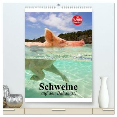 Schweine auf den Bahamas! (hochwertiger Premium Wandkalender 2027 DIN A2 hoch), Kunstdruck in Hochglanz