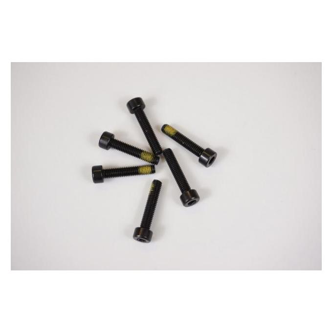 Cane Creek Gelenk-Schraube, M4x20, Thudbuster G3 LT (31260283)