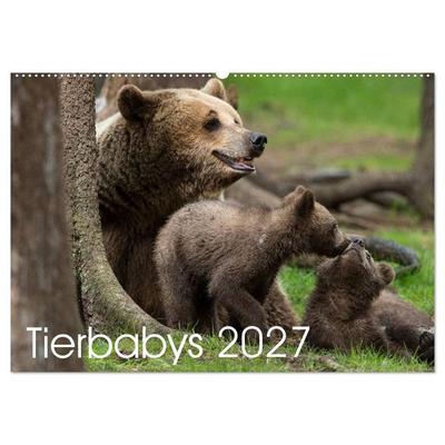 Tierbabys 2027 (Wandkalender 2027 DIN A2 quer), CALVENDO Monatskalender