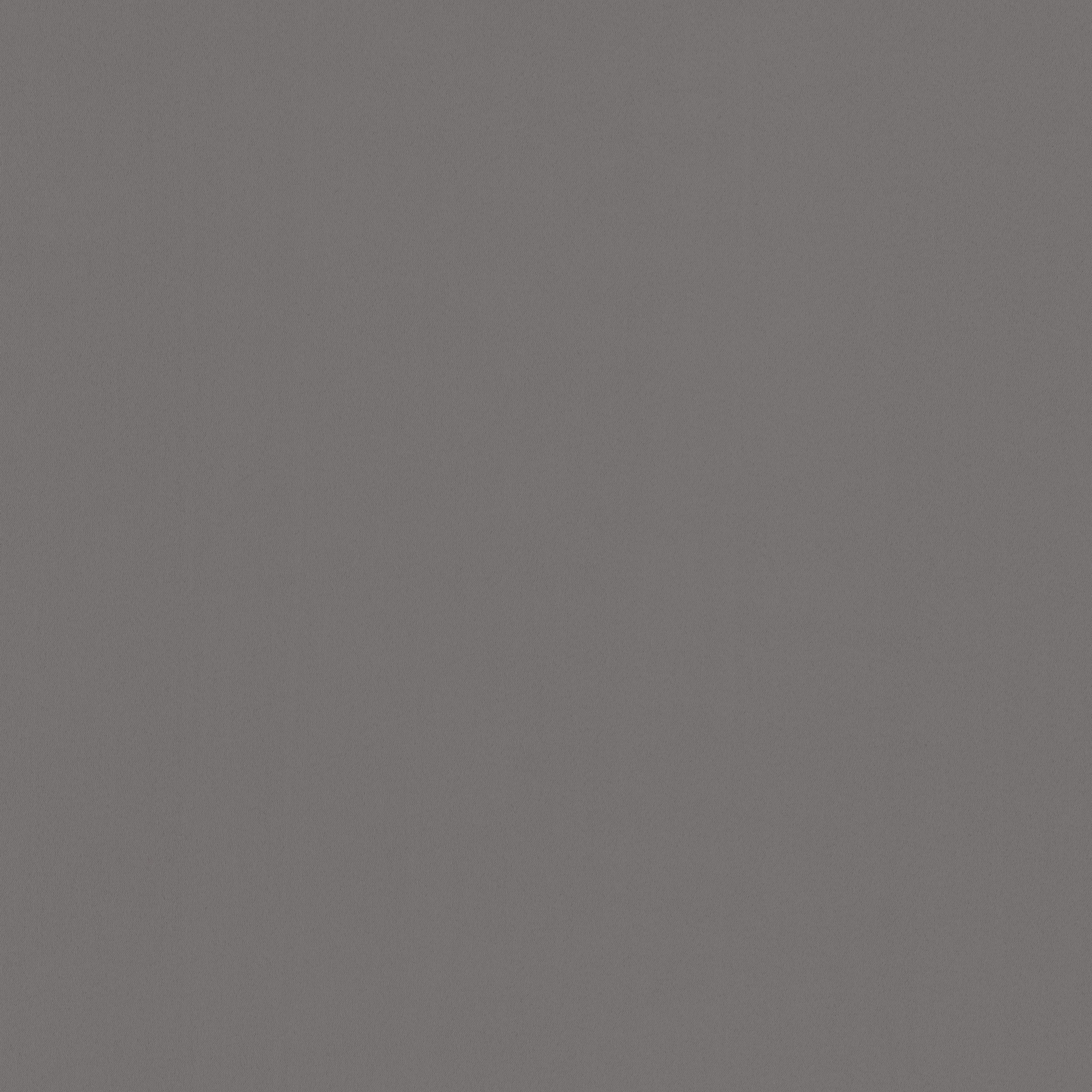 Neutex For You! Verdunkelungsvorhang NEUTEX FOR YOU "INSULA", grau (taupe), B:140cm H:160cm, Polyester, Gardinen, Verdunkelungsvorhang, Uni-Dimout für starke Verdunklung, nach Mass taupe 160cm, Ösen, 140cm