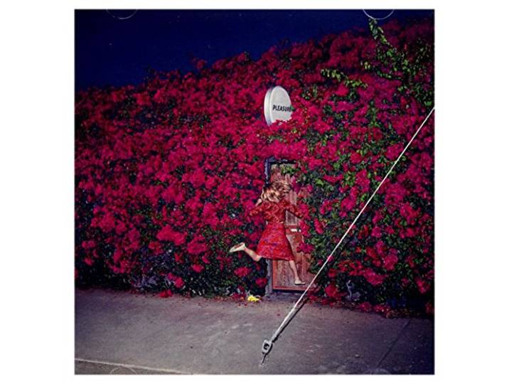 Feist: Pleasure (PL) [CD]