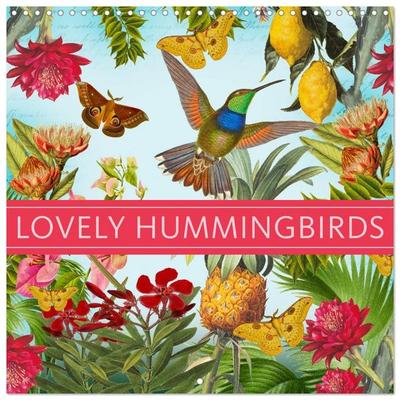 Lovely hummingbirds (Wall Calendar 2027 12 × 12 Inch) CALVENDO 12 Month Wall Calendar