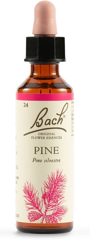 Schwabe Fiori di Bach 24 Pine Gocce 20 ml