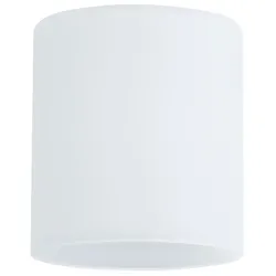 PAULMANN Schirm weiß dir/indir Glas 600.04