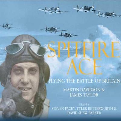 Spitfire Ace - Martin Davidson, Audio, 9780230701199