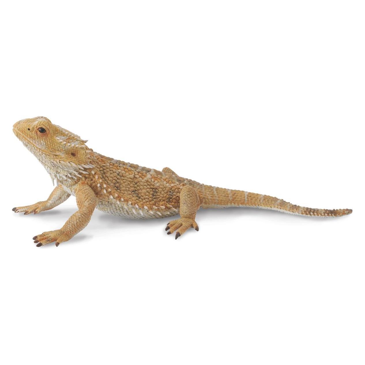 Collecta INDISCHE BOOLF-Figur (004-88657)