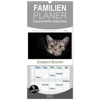 Familienplaner 2027 - Zauberhafte Kätzchen mit 5 Spalten (Wandkalender, 21 x 45 cm) CALVENDO