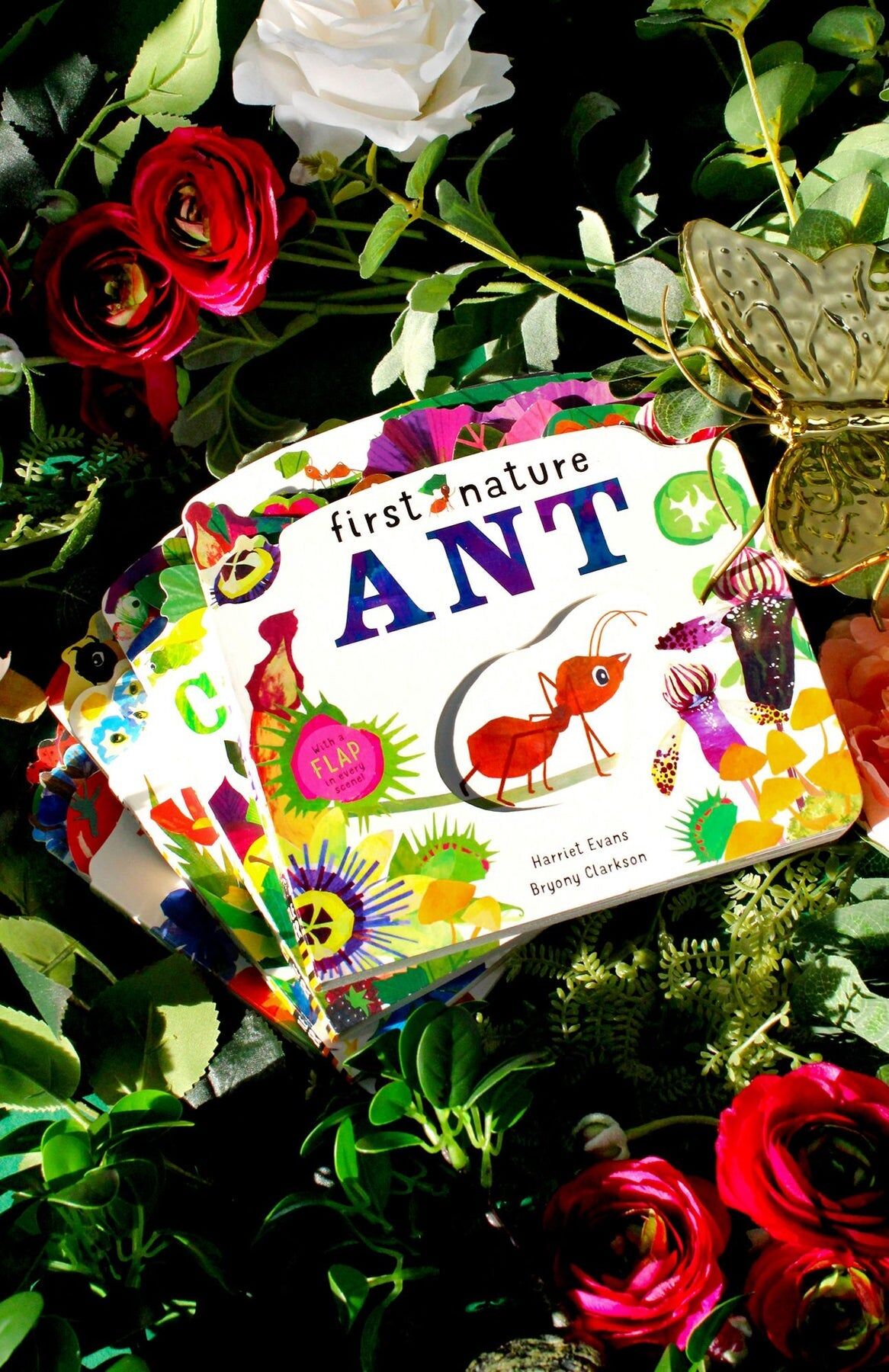 Little Tiger Press First Nature 4 Books Childrens Collection Set (Ant, Bee, Caterpillar & Ladybird)