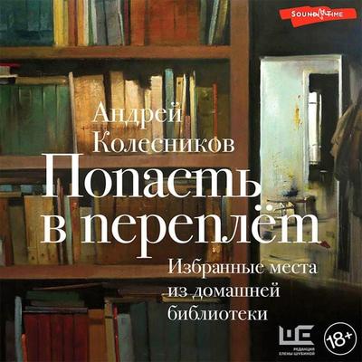 Popast v pereplyot. Izbrannye mesta iz domashney biblioteki - Andrei Kolesnikov, Audio, 9785171437848
