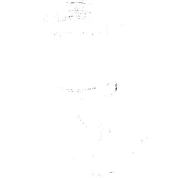 Hansa Brauseschlauch Entleerventil 04050100 chrom, DN15