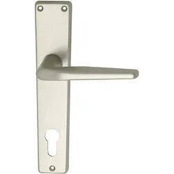Grundmann, Türgriff + Türgarnitur, Türbeschlag WG 2000 Türgriff für Innentür auf Schild PZ 88 Aluminium neusilber (Türgriff)