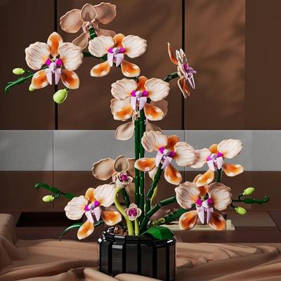 Botanical Orchid Bouquet & Technical Floral Architectural Logic Botanical Orchid Bouquet & Technical Floral Architectural Logic