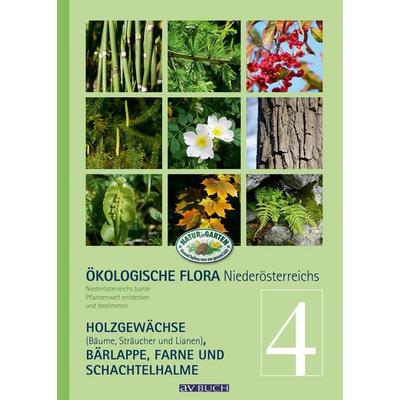 Ökologische Flora – Nieder-Österreichs Pflanzenwelt entdecken und bestimmen, Gebundene Ausgabe von Wolfgang Holzner,Wolfgang Adler,Silvia Winter,