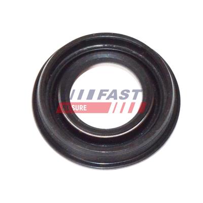 FAST Dichtring, Düsenschacht FT49837 für LAND ROVER Fiat
