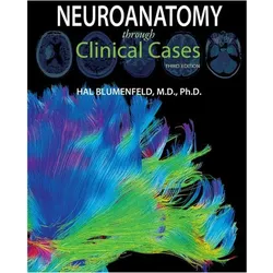 Neuroanatomy through Clinical Cases, Sachbücher von Hal Blumenfeld
