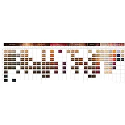 Igora Vibrance Farbkarte - Nur noch kurze Zeit verfügbar