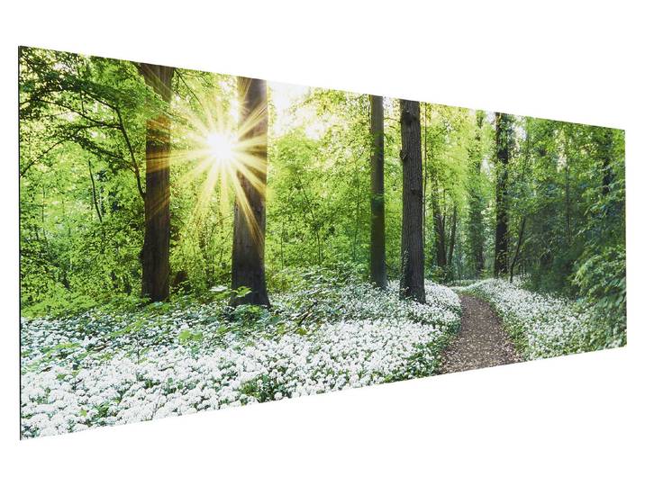 Wandbild Deco Panel 30x90 Spring Forest