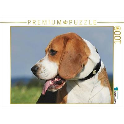 CALVENDO Puzzle Beagle - Porträt eines Rüden | 1000 Teile Lege-Größe 64x48cm Foto-Puzzle für glückliche Stunden
