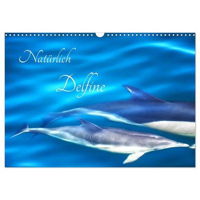 Natürlich Delfine (Wandkalender 2027 DIN A3 quer), CALVENDO Monatskalender