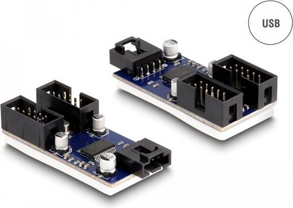 Delock USB 2.0 stopcontact-hub met 2 poorten