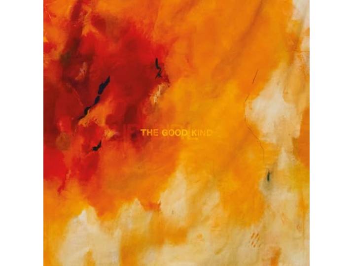 The Good Kind Vinyle Couleur Transparent