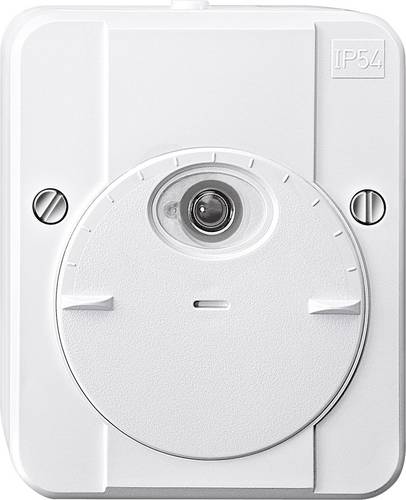 Schneider Electric 544819 Dämmerungsschalter Polarweiß 230V 1 Schließer