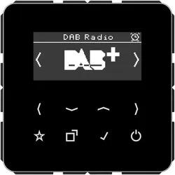 Jung Smart DAB+ Digitalradio DAB CD SW