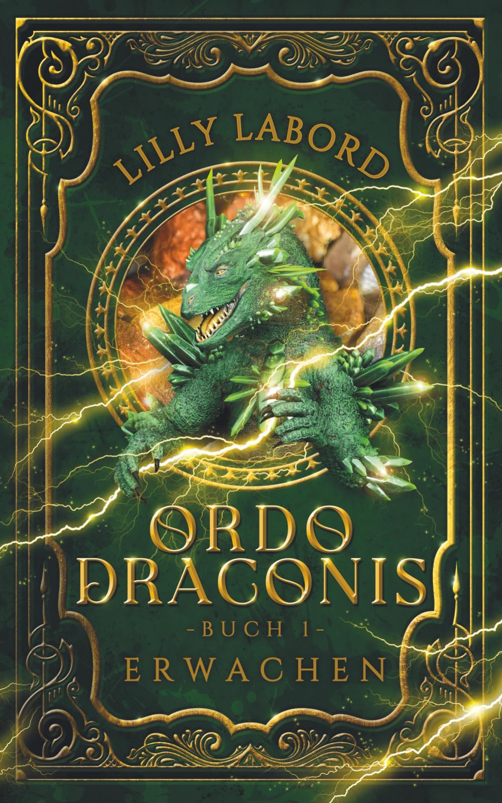 Lilly Labord - Ordo Draconis: Erwachen - Preis vom 11.10.2026 03:10:56 h