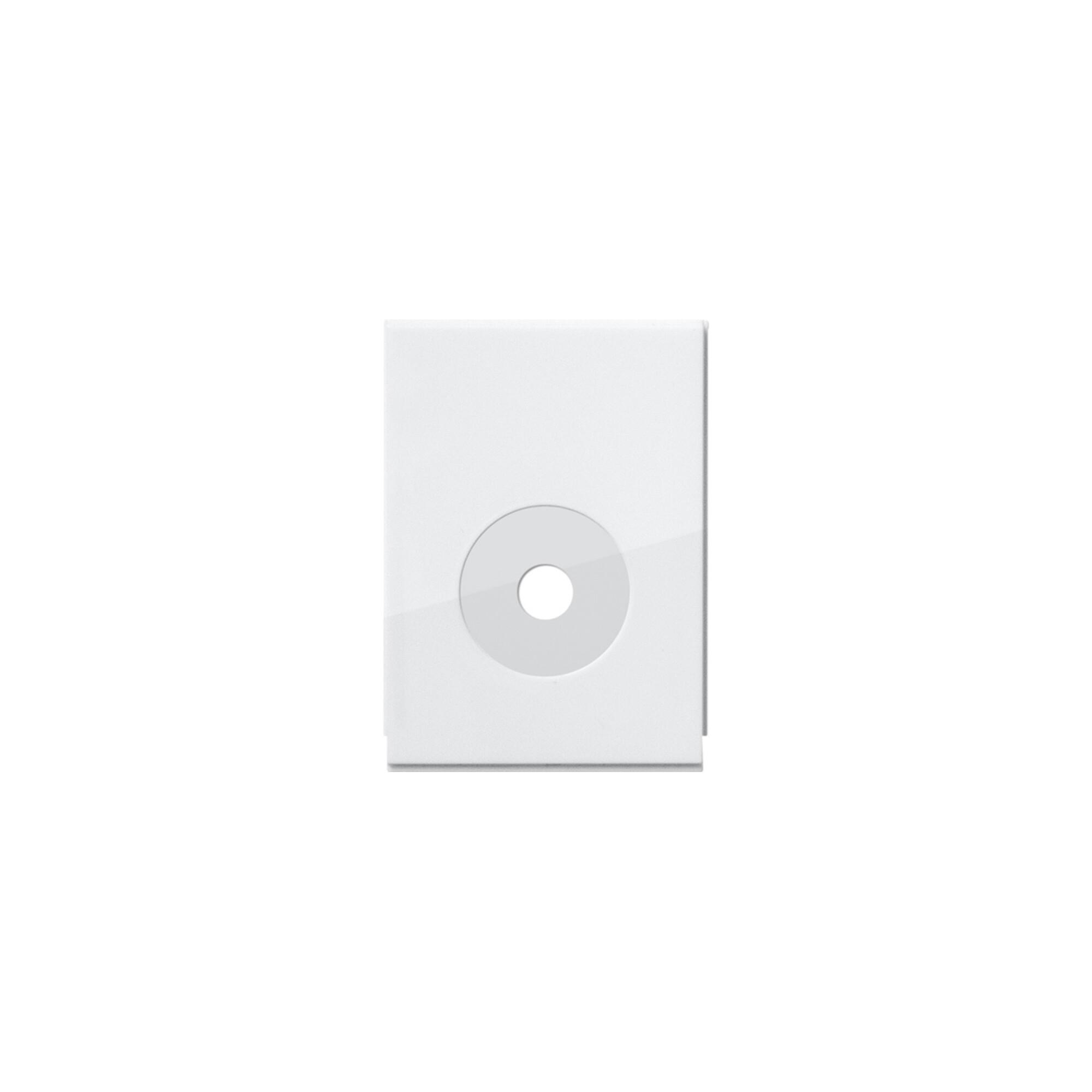 Gira Verschluss Ltg.einf. 1fach System 55 Rweiß 106503)