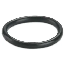 Phoenix Contact Dichtring WP-OR M20