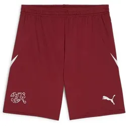 PUMA Herren Shorts SFV Shorts Replica, Größe XL in Rot Rot
