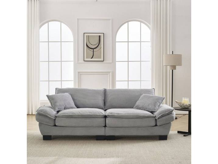 Un canapé double simple et moderne avec un lit de plumes qui suffit à un oreiller est confortable mais spacieux Gris