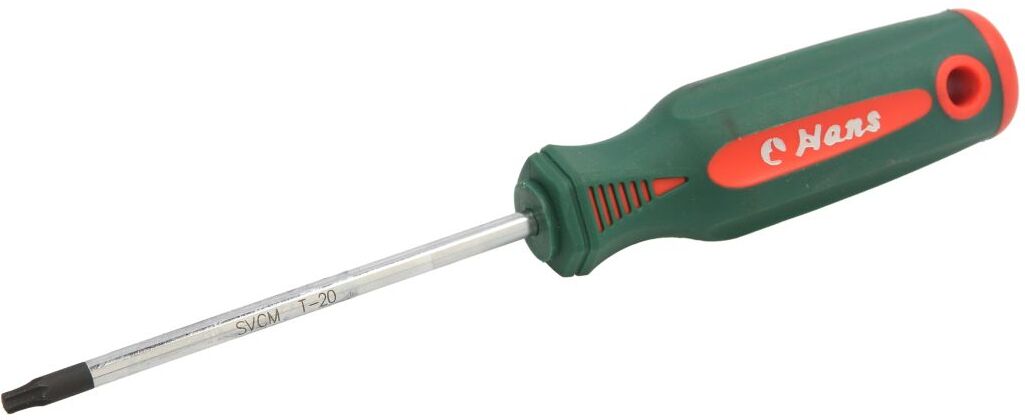 Hans Cacciavite TORX 0440T20X100