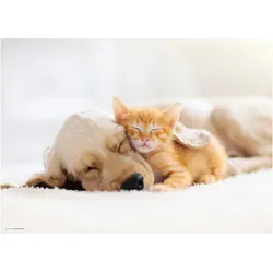 CoverYourDesk, Unterlage, Schreibtischunterlage Freundschaft zwischen Katze und Hund