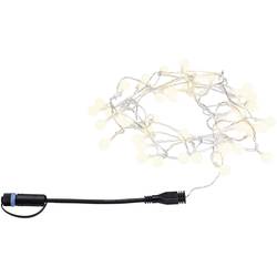 Paulmann 94558 Beleuchtungssystem Plug & Shine LED Warmweiß Schwarz