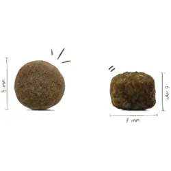 Bosch Mini Adult Lamm & Reis 4x3 kg