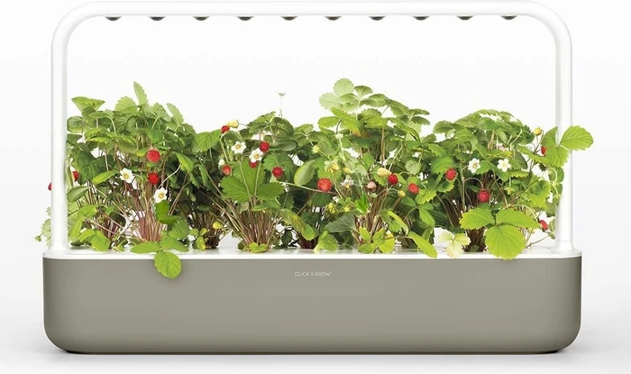 Klicken und Wachsen Smart Garden 9 beige