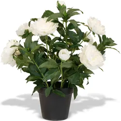 Pfingstrose (Paeonia) Kunstpflanze mit 11 Blüten weiß