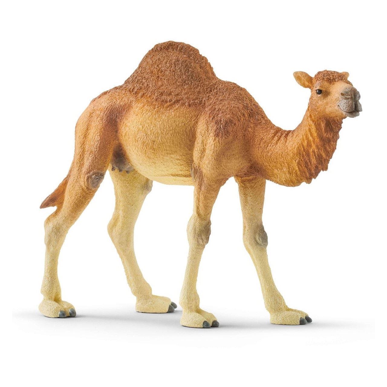 Schleich Wild Life Dromedar