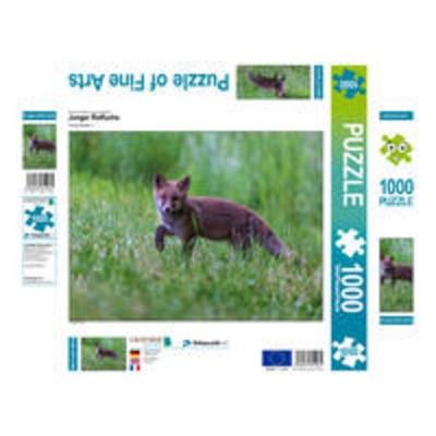 CALVENDO Puzzle Junger Rotfuchs | 1000 Teile Lege-Größe 64x48cm Foto-Puzzle für glückliche Stunden