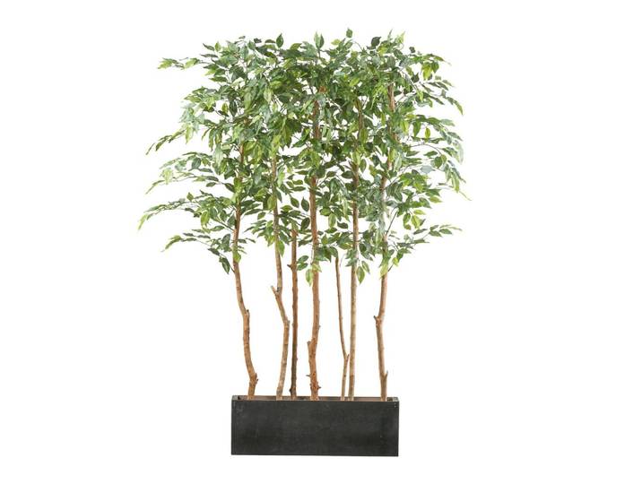 Kunstpflanze Ficus Benjamina H: 160 cm
